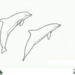 Dolfijnen kleurplaten - 
